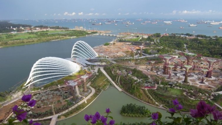 Флорална красота на "Южния залив" в Сингапур 