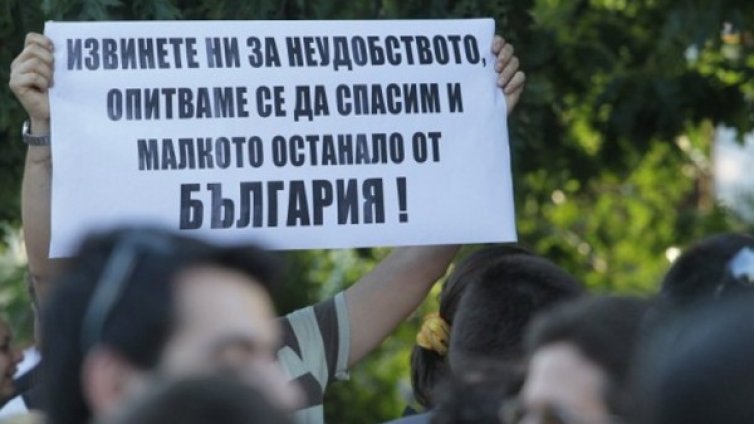 Сивият сектор гълта над 1 млрд. лв. от гората