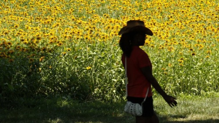 Хомеопатична аптечка за път 
