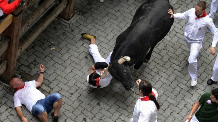 Петима ранени в бягането пред биковете по улиците на Памплона