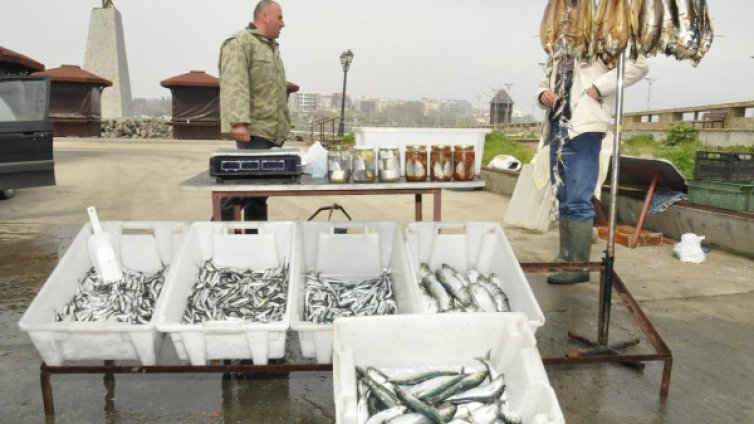 Забраняват продажбата на риба без документ за произход 