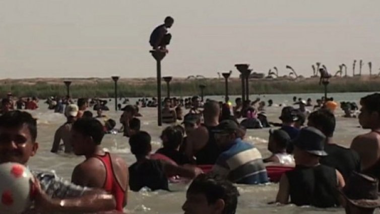 Оазис на спокойствието сред бомби и престрелки