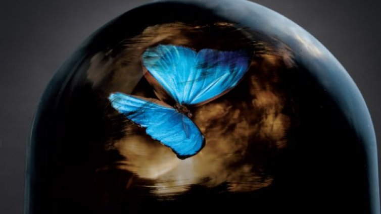 Постапокалиптична Алиса в "Чисти"