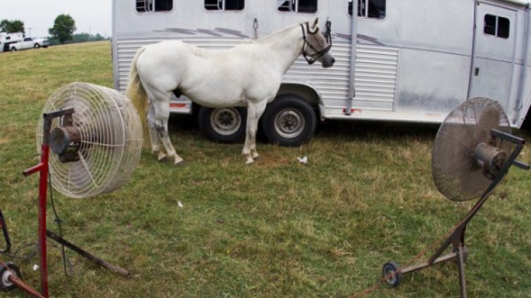 Вентилаторът - опасен ли е?