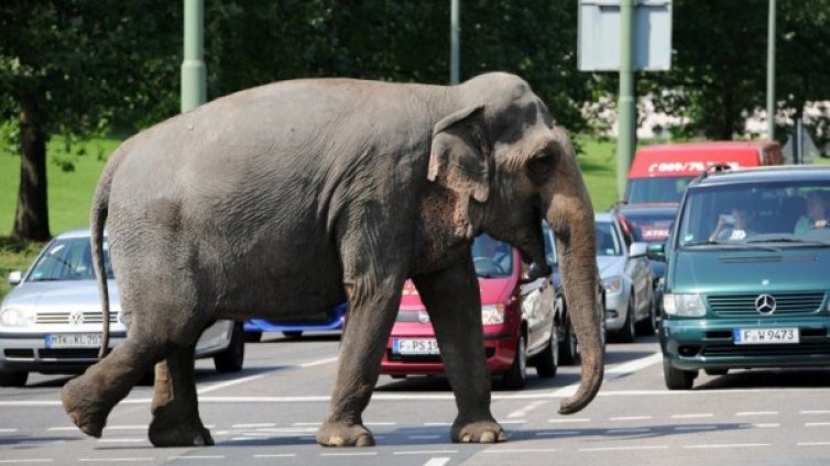 Денят в снимки