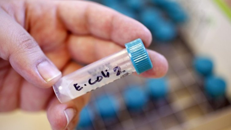 7 японци починаха от туршия с китайско зеле