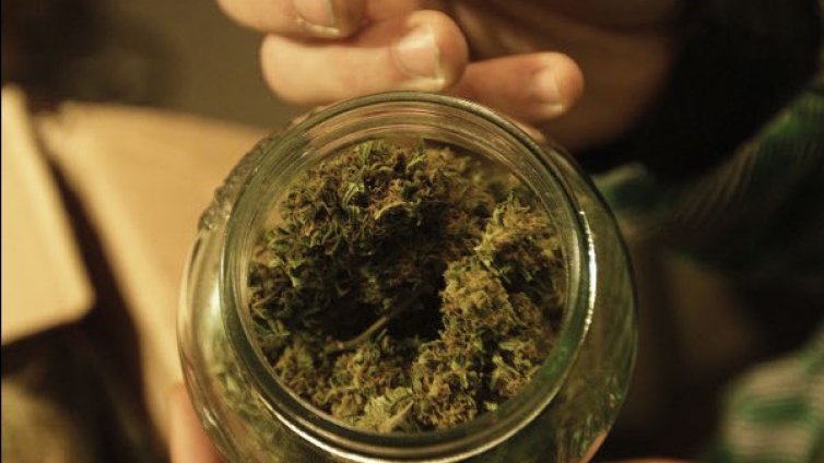 76-годишна &bdquo;наркобаба&rdquo; за пет години пренесла 1 тон марихуана 