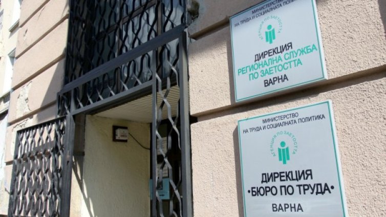 Над 3000 младежи кандидатстват за работа в администрацията