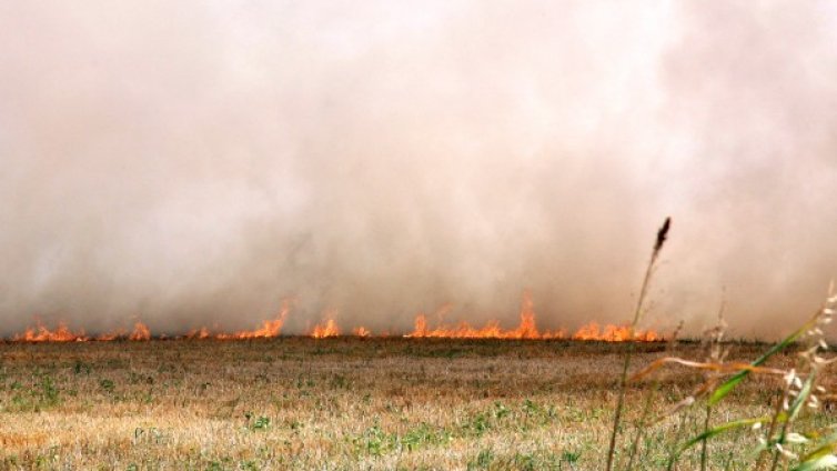 Заради човешка небрежност избухват повечето пожари 