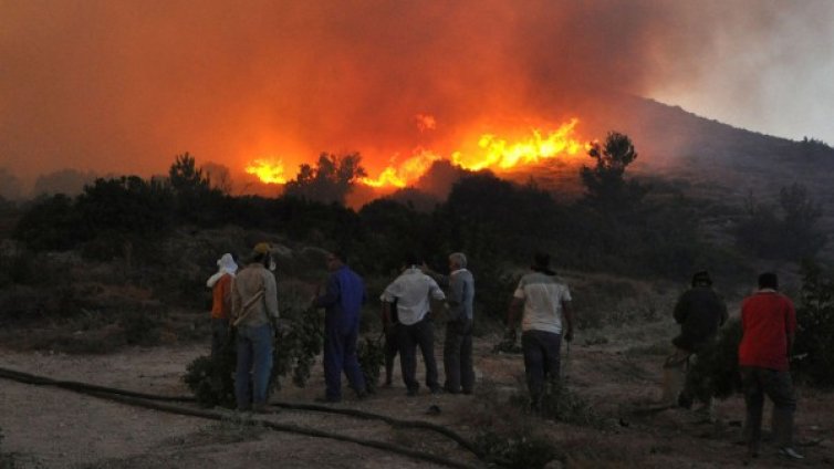 Голям пожар гори край Атина