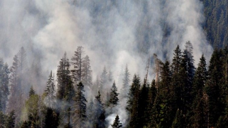 1500 декара горят в Рила