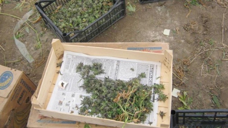 Двама мъже са задържани за наркотици