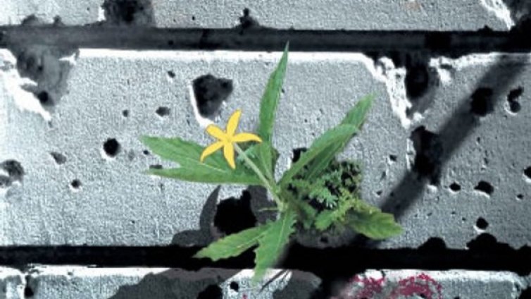 Безумието на войната в Сараево през очите на Джема