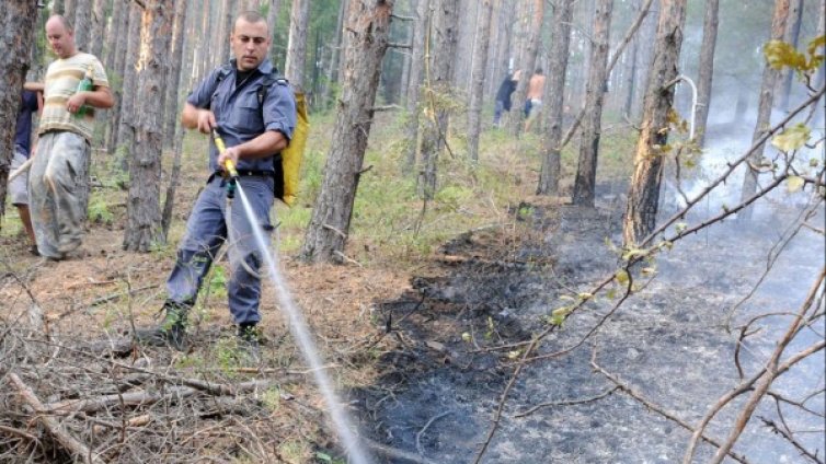 2000 декара горят в Харманлийско