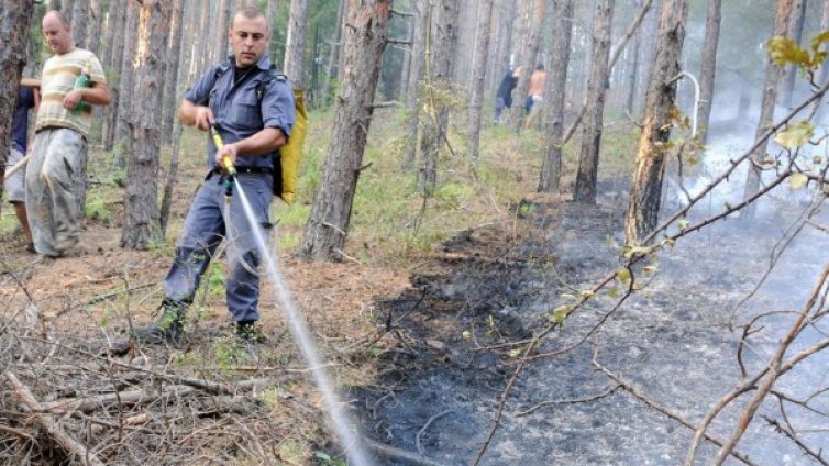 61 пожара горят в страната