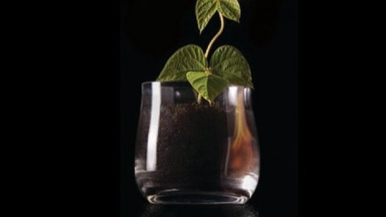 Кой е 5-ият елемент, без който не можем 