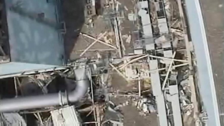 Рибата край Фукушима още е радиоактивна