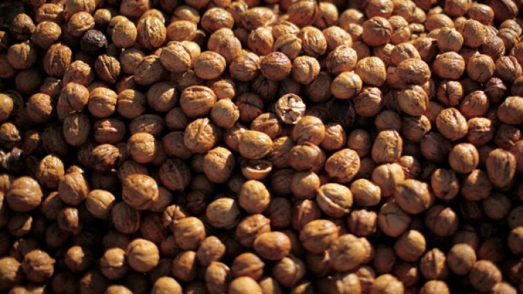 Орехи срещу умствена умора 