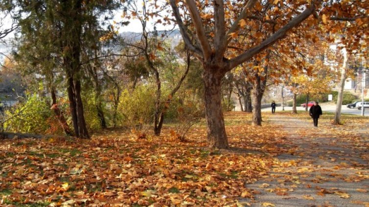 Червен код в Смолян и Кърджали заради очакваните валежи