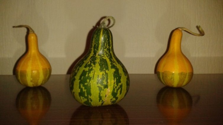 Как въображаемият "Алкатраз" в Бобов дол се оказа странно село