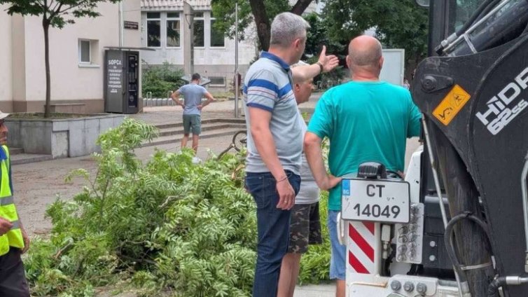 Служители на община Стара Загора разчистват щетите от вчерашната буря