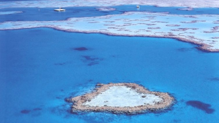 Мезонет на края на света 