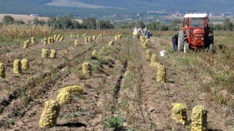 Как може да се повиши заетостта у нас?