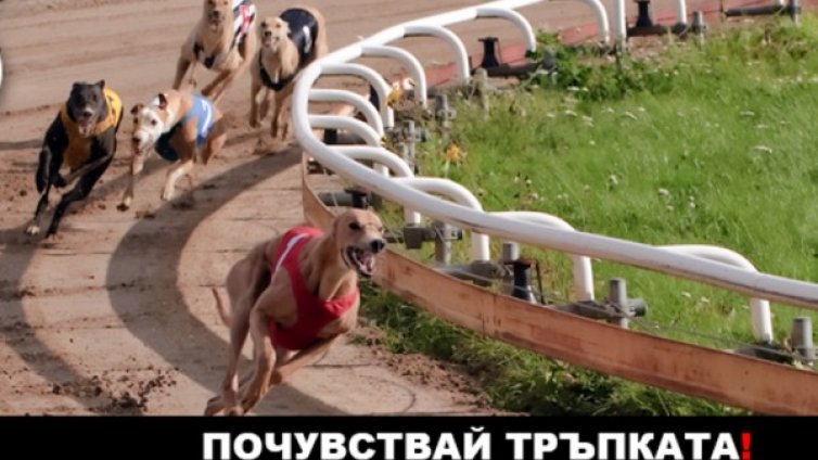 &bdquo;Еврофутбол&rdquo; заложи на скоростта и бързата игра с гонки с кучета