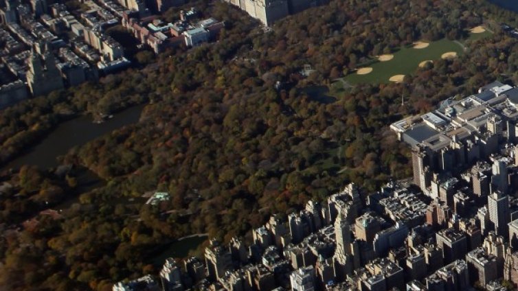 Жена дари посмъртно 20 млн. долара на парк и библиотека 