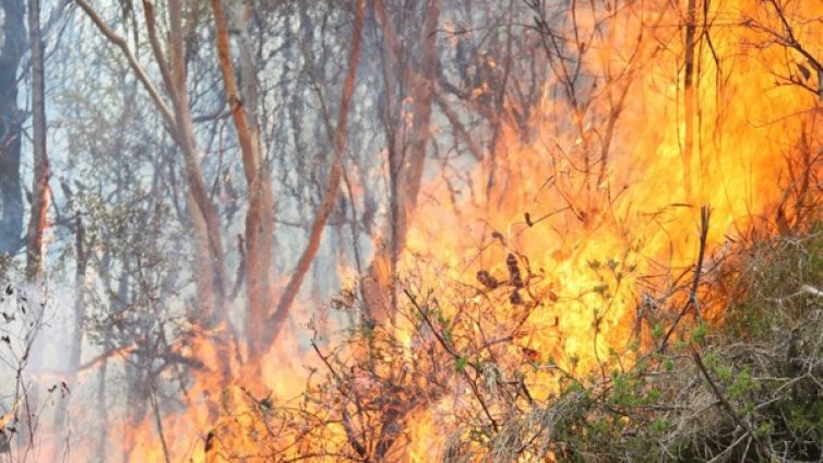 Осем  души загинаха в пожар в руско село