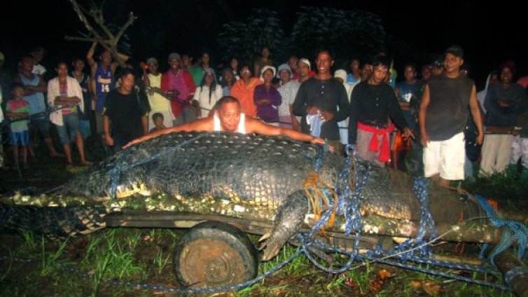 Почина най-големият крокодил в света