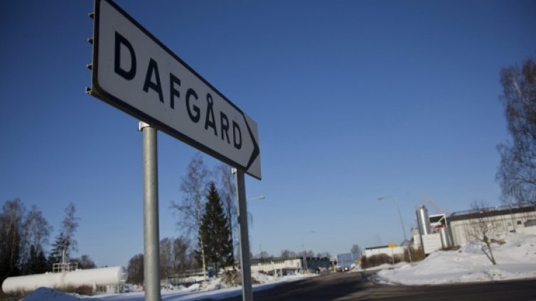 Няма конско в кюфтенцата на ИКЕА в Чехия