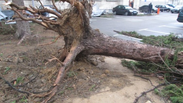  Щети за милиони след урагана в Габрово 