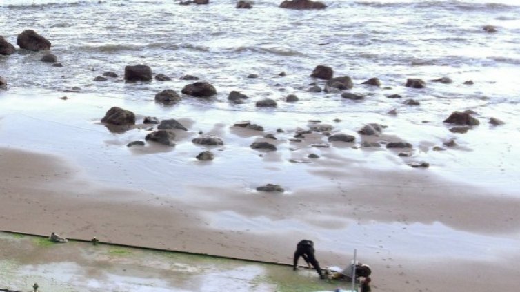 Рекордно високо ниво на радиация в риба до АЕЦ "Фукушима"