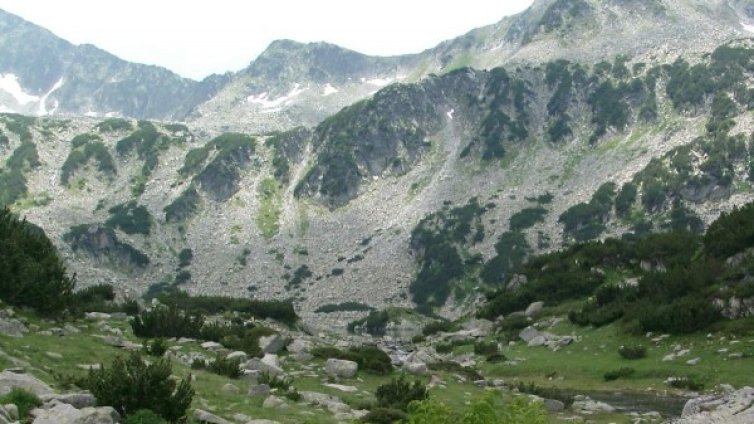 Екоминистърът подкрепя предизборно "Зелените", скочиха от "Природата за хората и регионите"