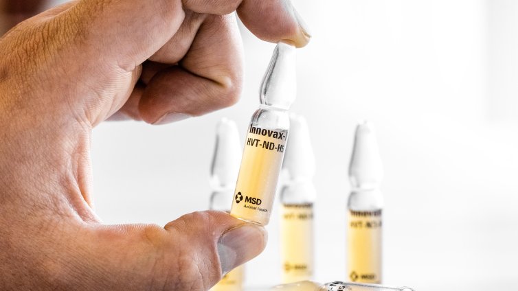 Грипът в Северна Македония взе жертва