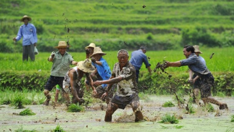 Денят в снимки