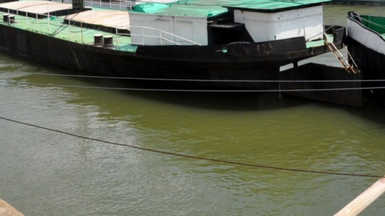 Във Видин готови за високите води на Дунав