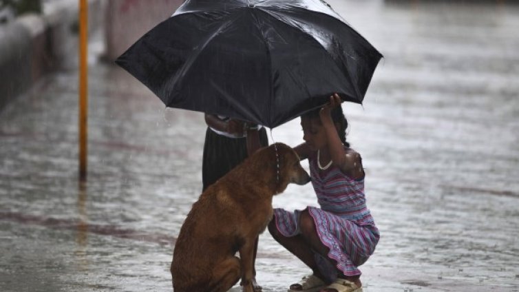 Денят в снимки