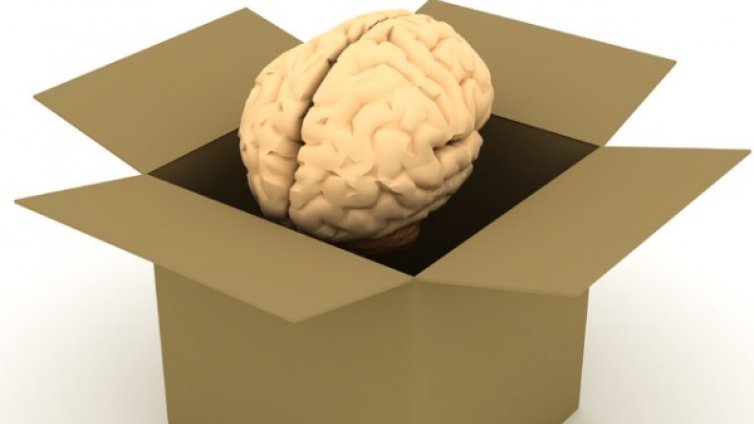 Преяждането и недохранването са вредни за мозъка