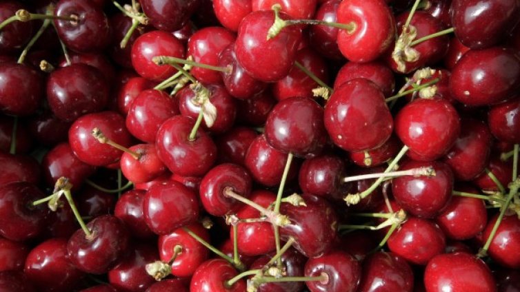 Нагли апаши свиха над 3 тона череши край Стара Загора