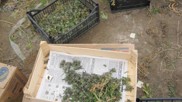 Арестуваха 32-годишен за наркотици