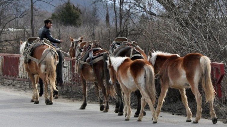 Да приобщим ромите, за да намалим трафика на хора