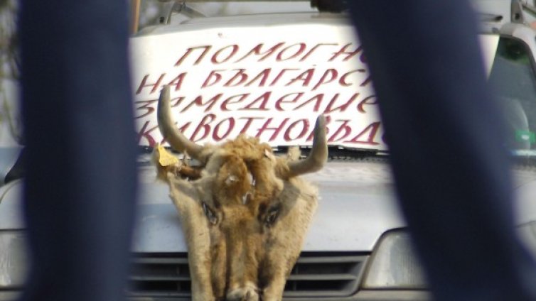 Постен протест на животновъди пред МЗ