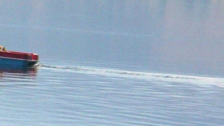 Трима уловиха над 800 раци 