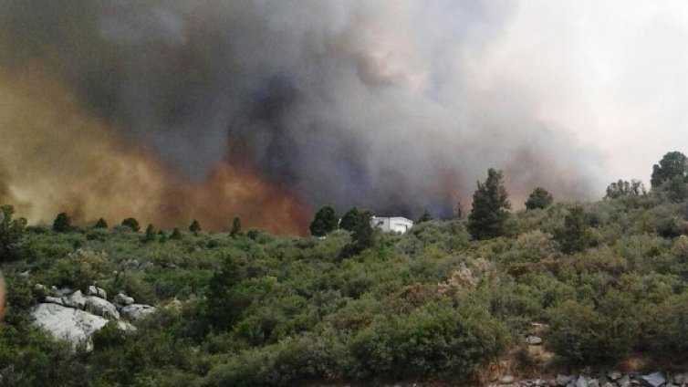 19 пожарникари загинаха при потушаване на пожар в Аризона