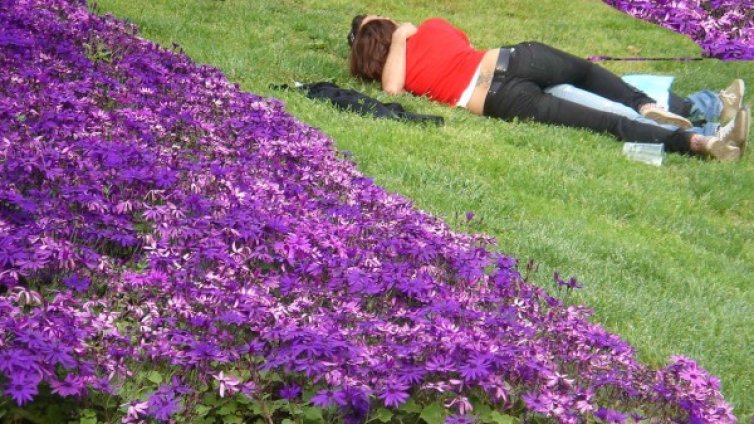 Какво може да попречи на хубавия секс 