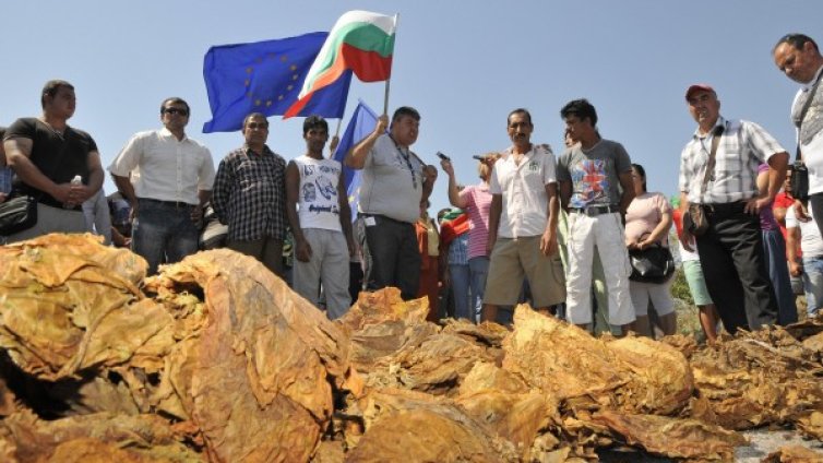 73 млн. отиват при тютюнджиите, обеща Греков