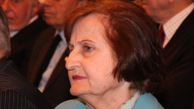 Кабинетът "Орешарски" е изкуствен, обясни Мозер