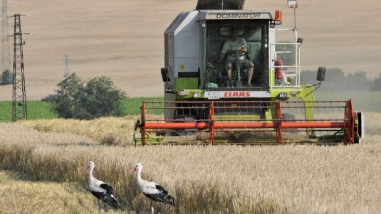 Земеделците с евросубсидии в аванс, но да мине бюджетът